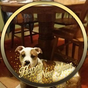 Meet your Posher, Brenda